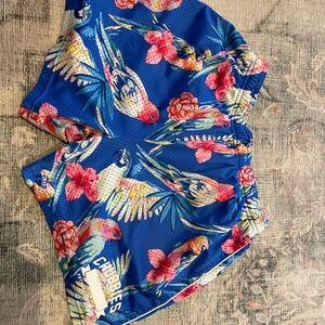 Chubbies Parrot Gym Shorts